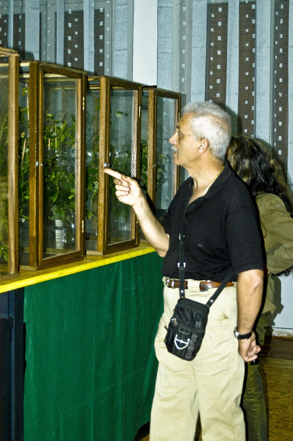 I Terracquari del Centro di Entomologia - Piombino (LI)